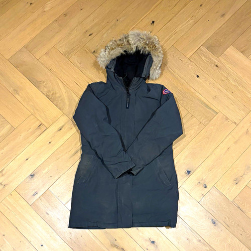 Canada goose arctic - arctic, program