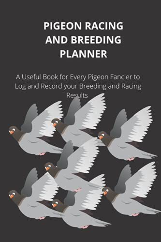 Pigeon racing and breeding - pigeon,
