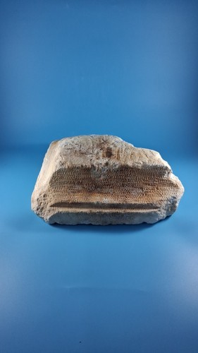 Roman marble collum base 50bc - roman,