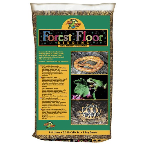 Zoo med reptile - zoo, forest
