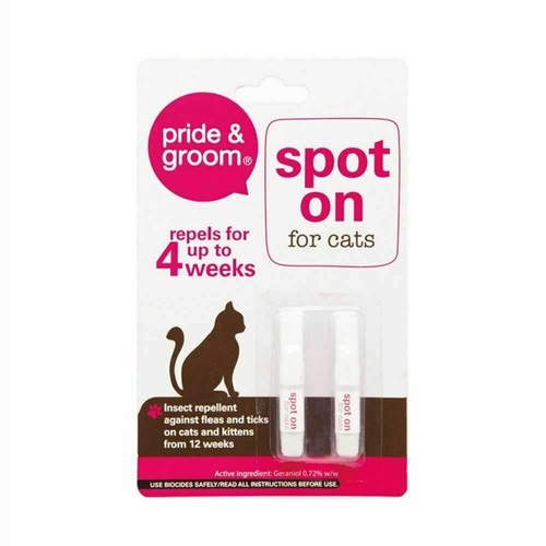 Spot for cats - on, &