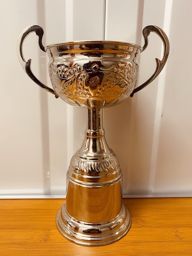 Silver trophy - trophy, 9.5”