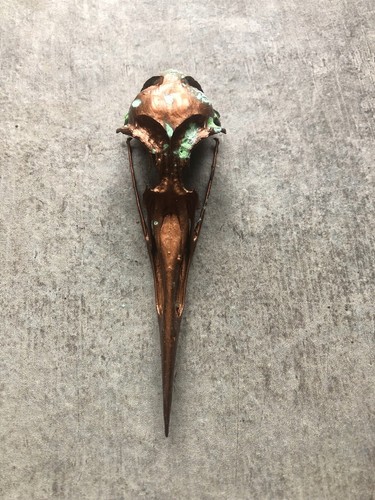 Copper oxidised bird skull - copper,
