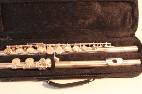 Elkhart 100fle flute carry - flute,