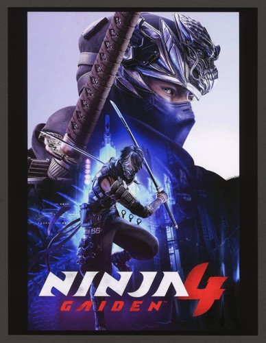 Ninja gaiden playstation - ninja,