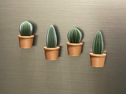 Set cactus plant - set,