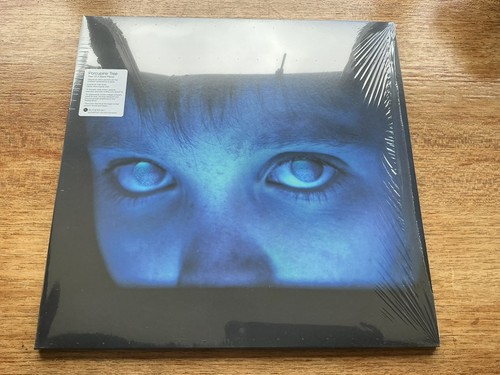 Porcupine tree fear - tree, blank