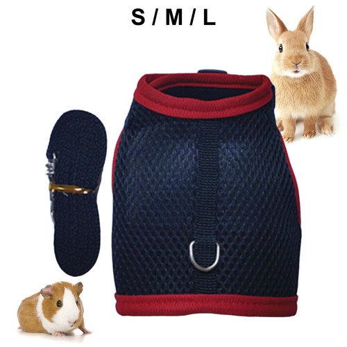Rabbit harness and leash - harness,