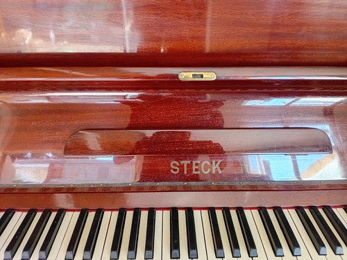 Steck upright piano family - piano,