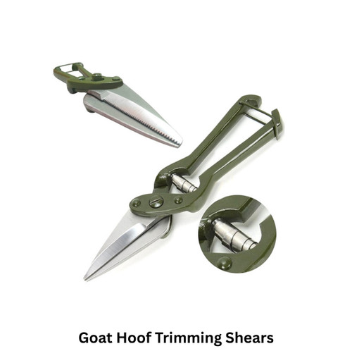 Goat hoof trimming shears foot - hoof,