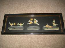 Antique Cock Fighting Real Feather Picture