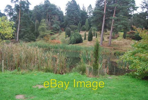 Photo 6x4 pond national - 6x4, pond,