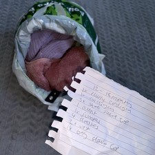 Baby Girl Clothes Bundle 12-18