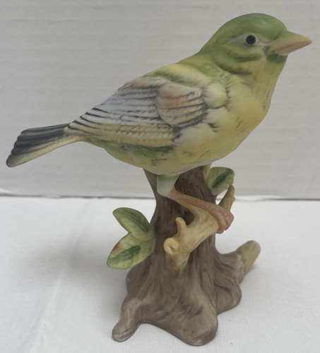Vintage greenfinch bird sat - bird, on