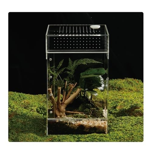 Acrylic terrarium for reptiles - for,
