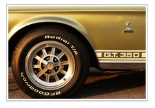 13x19 1968 Ford Mustang GT 350