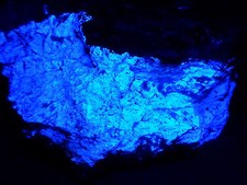 KB: LARGE! 10" SPECIMEN of