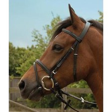 STS Windsor Flash Bridle Black