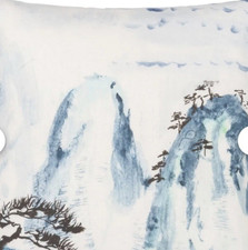 2 x Designers Guild cushion