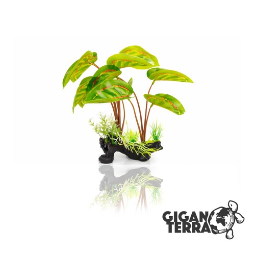 Giganterra standing plant 230 - plant,