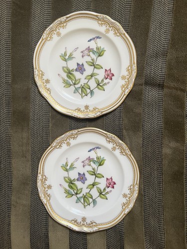 Spode stafford flowers - spode, china