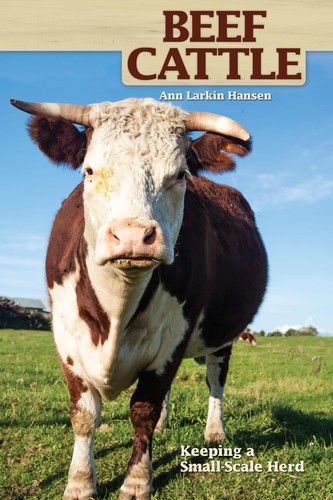 Beef cattle keeping - beef, cattle: