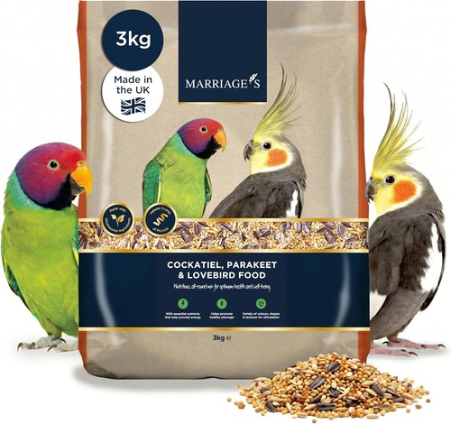 Lovebird cockatiel bird food - &,