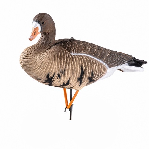 Goose decoy with stake - goose,