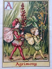 A - AGRIMONY - Alphabet