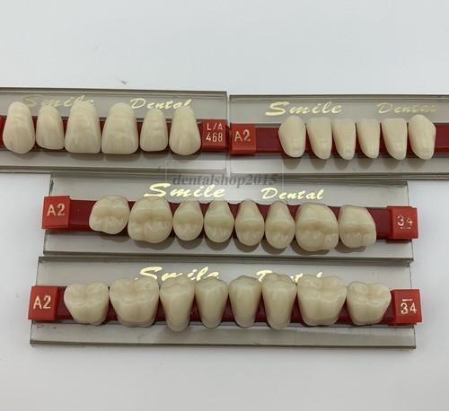 28pcs set dental teeth acrylic - dental,
