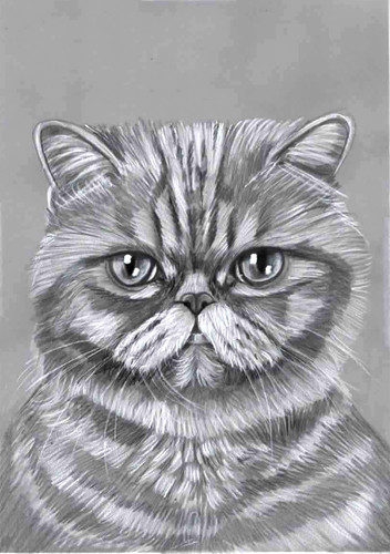 Original pencil artwork - original,
