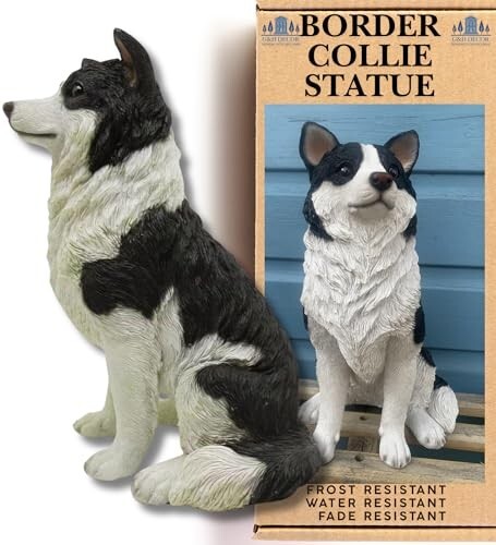 Border collie 5cm hand - collie,