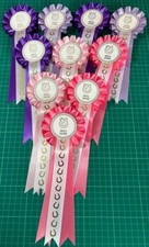 Well done horse rosettes - done,