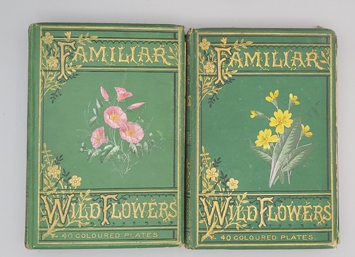 Familiar wild flowers - flowers, f