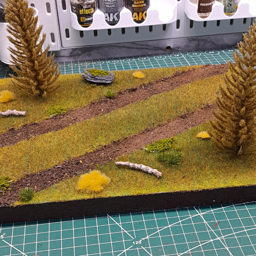 Diorama painted pre built - diorama,
