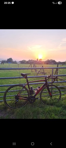 Wilier cento carbon - sr,