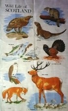 Vintage Tea Towel Scottish Wild Life OSPREY/EAGLE/CAPERCAILLIE  100% Linen