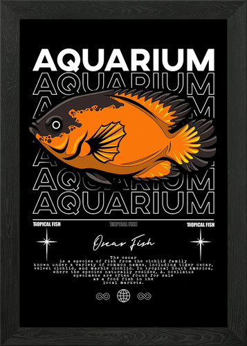 Oscar fish aquarium - fish, poster