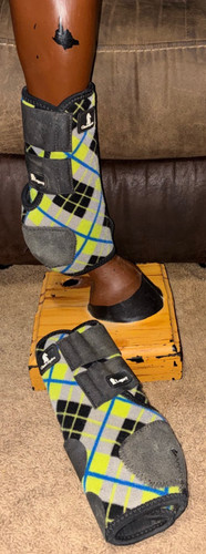 Classic equine legacy sport - equine,