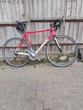 focus variado  road cycle