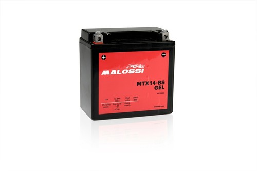 Activated gel battery malossi - gel,