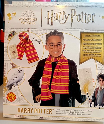Harry potter wizarding set - harry,