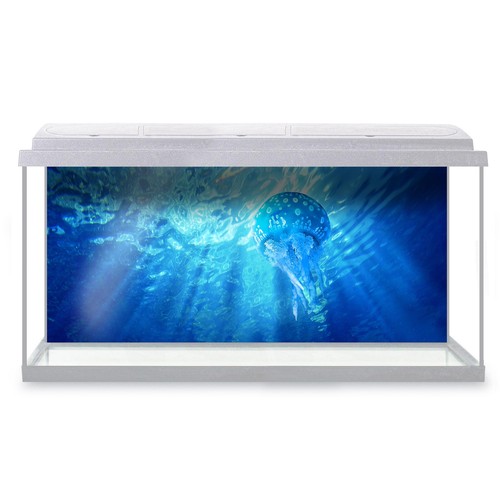 Fish tank background - fish, jellyfish
