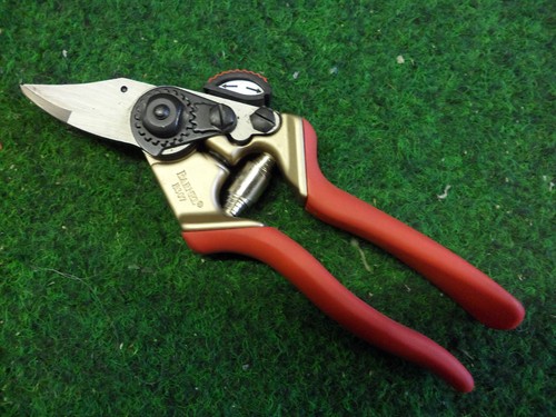 Pruners secateurs shears - pruners,