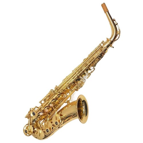 Yanagisawa 500 alto - yanagisawa,