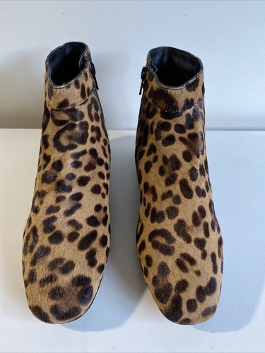Next light tan leopard animal - light,
