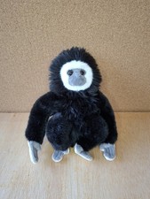 Nature Planey Black Ape Monkey