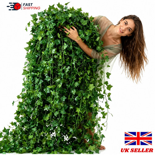 Pack 168 feet - pack, ivy