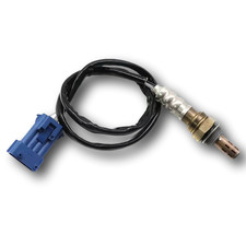 Downstream Oxygen Sensor
