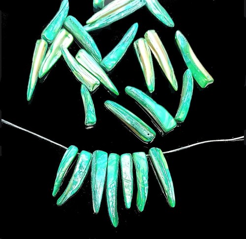 25pcs shell teeth beads green